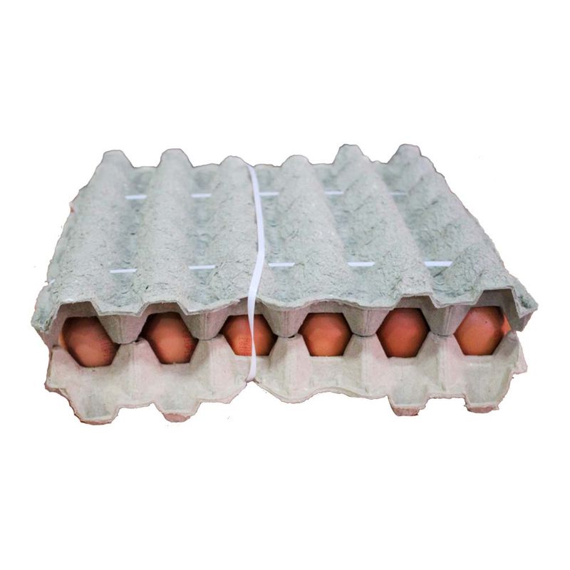 Huevo-AA-Rojo-Avinal-X-30-U