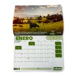 Calendario-Colanta-2025