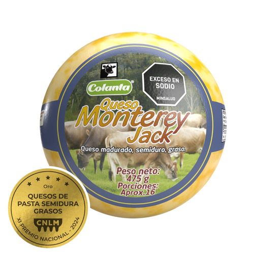 Queso Tipo Monterey Jack Colanta X 475 g