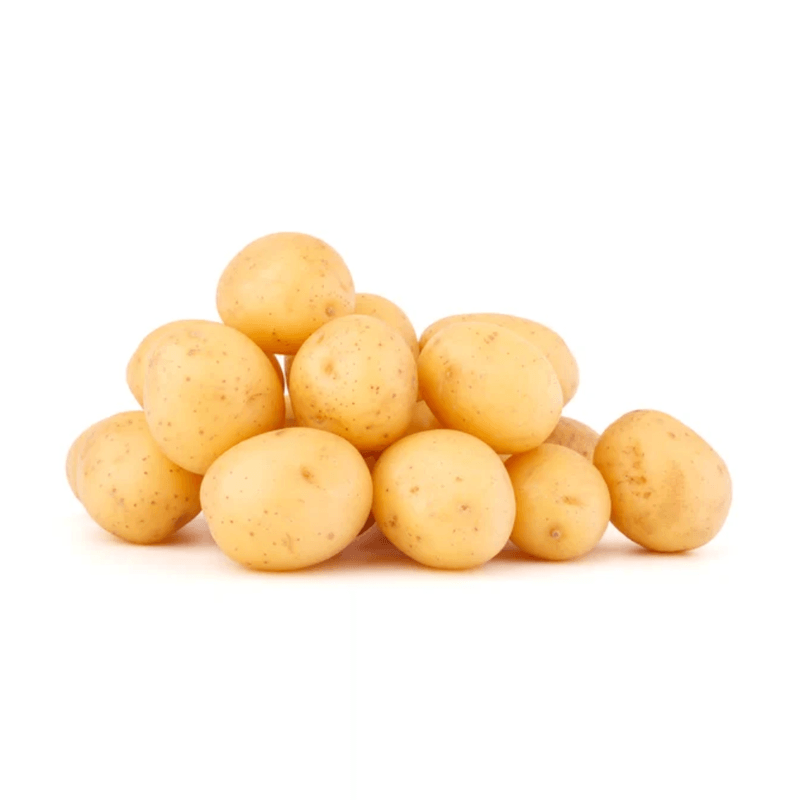 562F.png