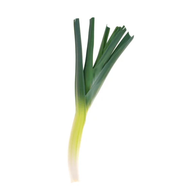 572U.png