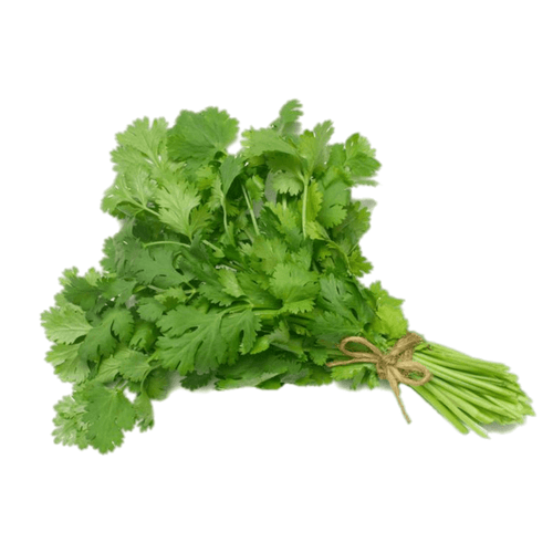 Cilantro x 200 g