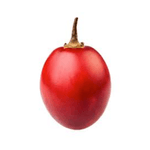 562P.png