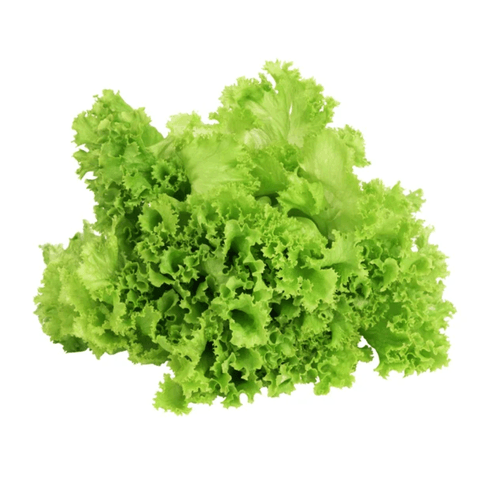 Lechuga Crespa Verde x 130 g