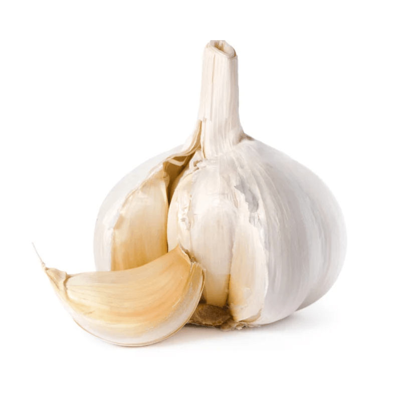 561H.png