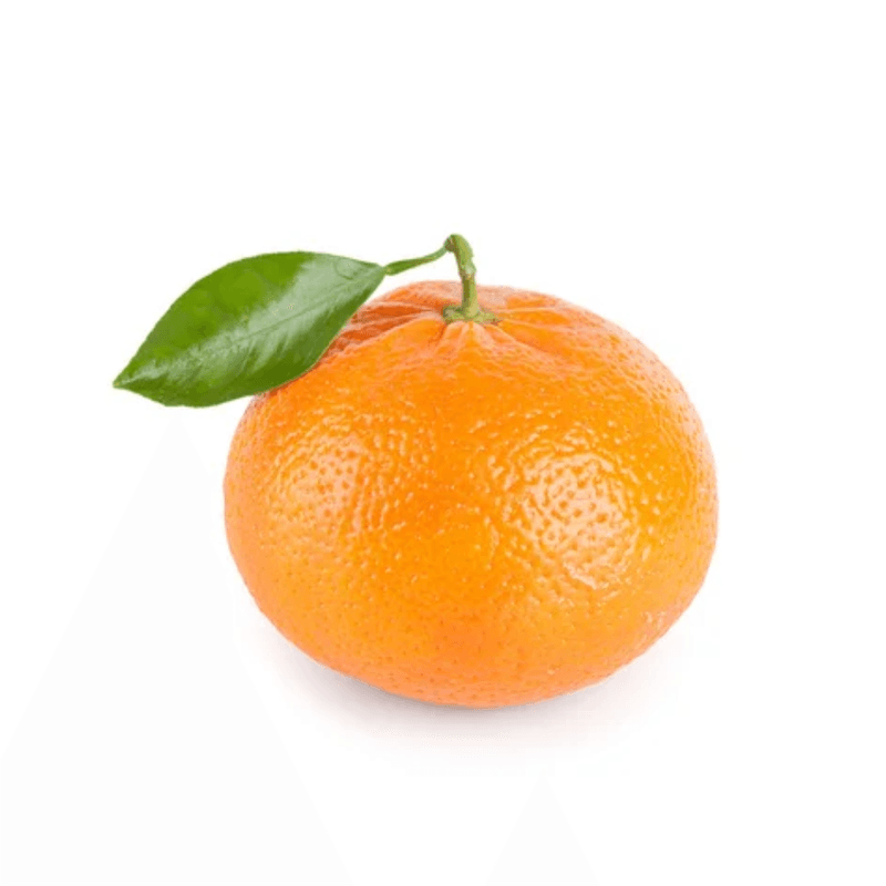 562A.png