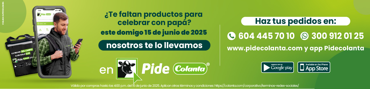 Domicilios este domingo 15 de junio
